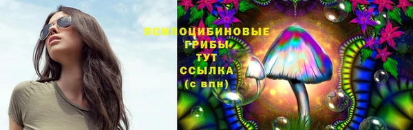 MESCALINE Бородино