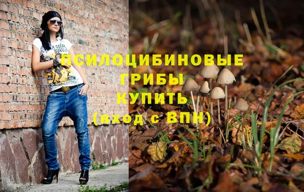 дмт Верея