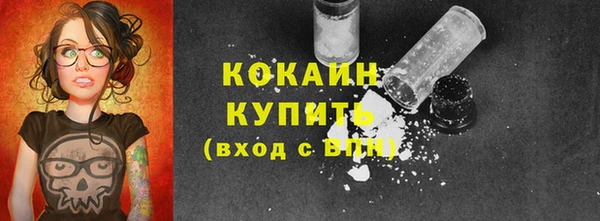 дмт Верея